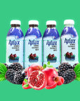 Hylux Pomegranate  Raspberry Bottle Water Case of 12   Electrolyte Drinks with Crisp Refreshing Taste  Fast Hydration Drink  Lightly Sweetened Antioxidant Drink with Fewer Calories Per Bottle