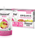 Honest Kids Berry Berry Good Lemonade Organic Fruit Juice Drink 675 fl oz 32 Pack