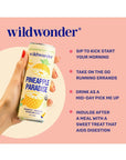 New wildwonder Sparkling Probiotic Juice Drink wGut Health Immunity 5g Fiber Live Probiotics Caffeine Free Organic Vegan Low Sugar 12pk 12oz Pineapple Paradise As Seen on Shark Tank