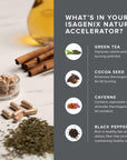 Isagenix Natural Accelerator New Blend Supports Enhanced Metabolism Features Sinetrol Patented and Clinically Studied Ingredient Supports Fat Burning with Thermogenic Cayenne Lemon Verbena Guarana