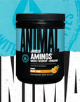 Animal Juiced Aminos - 6g BCAA/EAA Matrix plus 4g Amino Acid Blend for Recovery and Improved Performance - Orange - 30 Servings, 13.5 Ounce