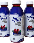 Hylux Pomegranate  Raspberry Bottle Water Case of 12   Electrolyte Drinks with Crisp Refreshing Taste  Fast Hydration Drink  Lightly Sweetened Antioxidant Drink with Fewer Calories Per Bottle