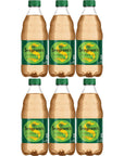 Seagrams Ginger Ale 16 fl oz Bottles Pack of 6