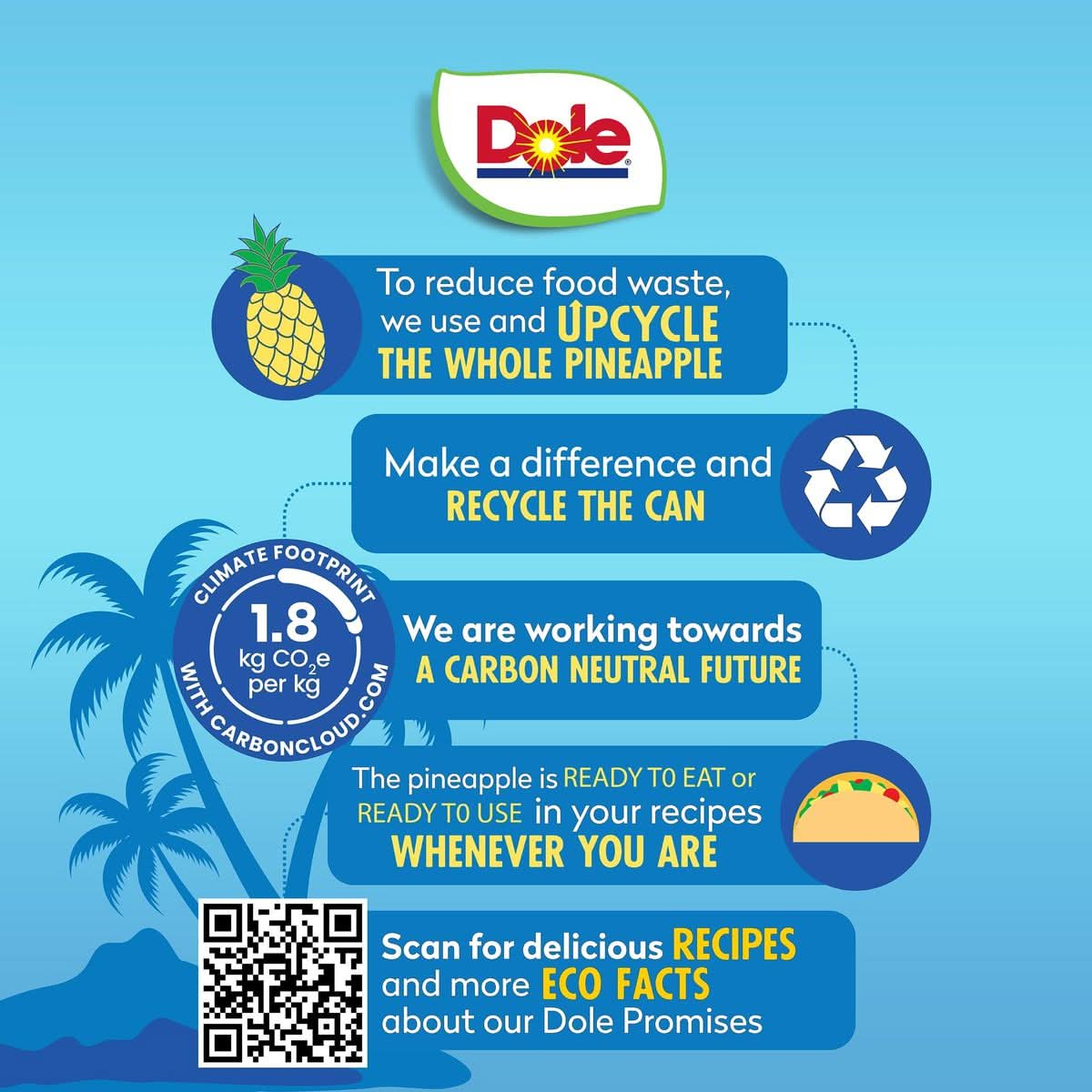 Dole Canned Fruit Pineapple Tidbits in 100 Pineapple Juice Gluten Free Pantry Staples 20 Oz 12 Count Packaging May Vary