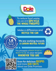 Dole Canned Fruit Pineapple Tidbits in 100 Pineapple Juice Gluten Free Pantry Staples 20 Oz 12 Count Packaging May Vary