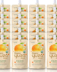 USDA Organic Yuzu Citron Juice  24 Pouches  Ready to Drink ONTHEGO Vegan Kids Juice Yuzu Beverage Rich in Vitamin C Korean Honey Citron Tea by Yuza