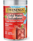 Twinings Cold Infuse Flavored Water Enhancer Watermelon  Mint 12 Count Pack of 6 Enjoy Hot or Iced