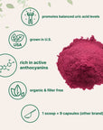 Organic Tart Cherry Powder 4oz  100 Natural Fruit Powder  US Grown Tart Cherries Source  No Sugar  Additives  Great Flavor for Drinks Smoothie  Beverages  NonGMO  Vegan Friendly