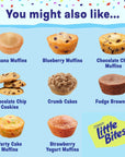 Entenmanns Little Bites Chocolate Chip Muffins 2 pack 40 pouches total