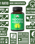 Fadogia Agrestis Ultra High Strength 10:1 Extract in Vegan Capsules. Support Athletic Performance, Boost Energy, Stamina. USA Tested Supplement for Men and Women