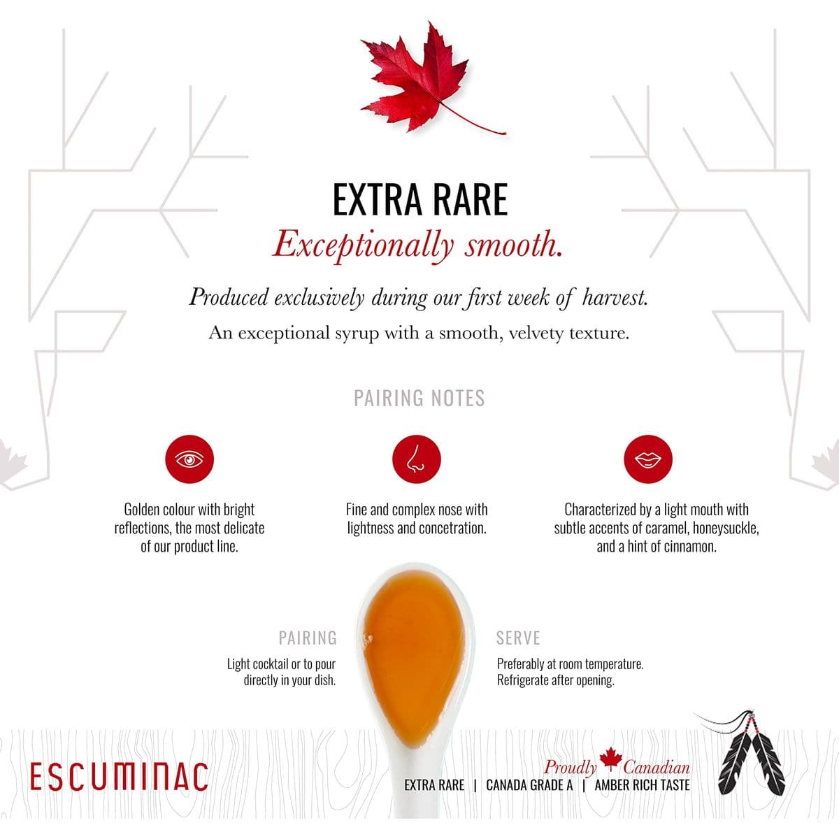 Escuminac Canadian Maple Syrup 169 Fl Oz Glass Bottle  Gift Box Extra Rare Amber Rich Taste 100 Pure  Organic Gourmet Gift