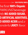 Ruby Hibiscus Organic Unsweetened Sparkling Water  12pk x 12oz Cans  Only 2 Ingredients 0 Calories or Sugars No Additives  1000 Antioxidants NonGMO Vegan GlutenFree Kosher  Refreshingly Juicy  Hydrating