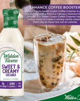 Walden Farms Sweet Cream Coffee Creamer 12 oz Bottle Fresh Flavored NonDairy Milk Substitute Natural and Organic Liquid Gluten Free and 0g Net Carbs Vegan Friendly 6 Pack Bottles