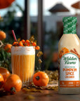 Walden Farms Limited Edition Pumpkin Spice Creamer 12 oz Bottle  Creamy and Flavorful Vegan Paleo and Keto Friendly NonDairy Milk Substitute 0g Net Carbs  For Coffee Tea Smoothies Shakes Desserts and More