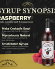 Liquid Alchemist Raspberry Syrup for Drinks  Real Ingredients Make our Raspberry Puree for Drinks the Perfect Raspberry Lemonade Drink Mix  Our Raspberry Cocktail Syrup is NonGMO  Vegan 12 oz