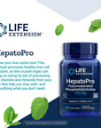 Life Extension HepatoPro Polyunsaturated Phosphatidylcholine - Phosphatidylcholine PPC Supplement for Liver Health Support and Detox - Non-GMO, Gluten-Free - 60 Softgels