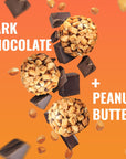 The Gluten Free Brothers Dark Chocolate Peanut Butter Bites  Gluten Free Protein Balls  Non GMO Soy Free Vegan  Snack Size Plant Based Protein Energy Balls 12 oz 10 Count