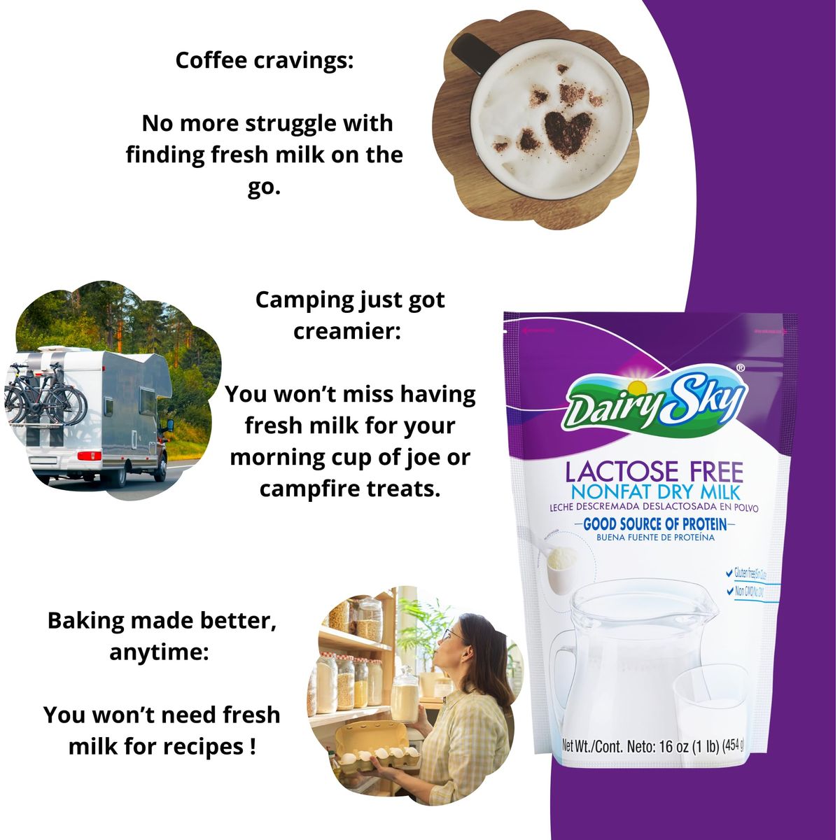 DairySky Lactose Free Milk Powder 16oz  Skim Powdered Milk Non GMO Fat Free for Baking  Coffee Kosher with Protein  Calcium  Great Substitute for Liquid Milk  RBST HormoneFree