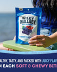 Wiley Wallaby Licorice 10 Ounce Classic Gourmet Soft  Chewy Australian Blueberry Pomegranate Candy Twists 1 Pack