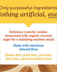 Simple Mills Almond Flour Crunchy Cookies, Double Chocolate Chip - Gluten Free, Vegan, Healthy Snacks, Made with Organic Coconut Oil, 5.5 Ounce (Pack of 1)