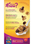 Raisin Bran Cold Breakfast Cereal Family Size Maple Flavor 216oz Box 1 Box