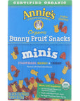 Annie's Homegrown Organic Mini Bunny Fruit Snack 5 Count, 4 OZ