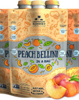 Lt Blenders Peach Bellini in a Bag  Wine Slushie Mixes  Each Bag Makes 12 Gallon of Frozen Peach Bellini Mix  NonGMO Wine Freezer mix  Make with Wine Liquor or as a Mocktail  Pack of 3