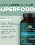 Ancient Nutrition Gut Health Supplement Leaky Gut Capsules, 60ctFormulated with Licorice Root, Astragalus, Marshmallow, and L-Glutamine, Gluten Free, Paleo and Keto Friendly, 60 Ct