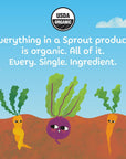 Sprout Organics, Stage 2 Variety Pack, Carrot Apple Mango, Pear Kiwi Peas Spinach & Blueberry Banana Oatmeal, 6+ Month Pouches, 3.5 oz (12-count)