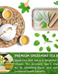 FreshDrinkUS Premium 45 Spearmint Tea Bags 100 Natural Spearmint Leaves Loose Leaf Spearmint Herbal Tea Spearmint Leaf Tea No Sugar No Caffeine No Gluten Vegan