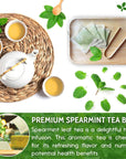 FreshDrinkUS Premium 40 Spearmint Tea Bags 100 Natural Spearmint Leaves Loose Leaf Spearmint Herbal Tea Spearmint Leaf Tea No Sugar No Caffeine No Gluten Vegan