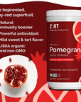 Zint Pomegranate Powder Organic 12 oz Antioxidant Pomegranate Juice Pure Pomegranate Supplement SugarFree USDA Organic NonGMO Vegan