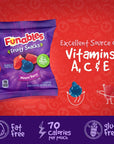 Funables Fruity Snacks, Mixed Berry Fruit Flavored Snacks, Pack of 40 0.8 ounce Pouches