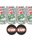 Shasta Diet Ginger Ale 8 fl oz Pack of 12 with By The Cup Coasters