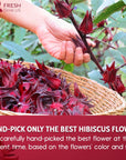 FreshDrinkUS Premium 28oz Hibiscus Flower Powder 100 Natural and Pure from Hibiscus Flowers Natural Food Coloring Hibiscus Flowers Tea No Additives No Gluten No Sugar Vegan