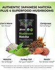 Inner Elevate Mushroom Matcha  Organic CeremonialGrade Matcha Powder with 4 Superfood Mushrooms  Adaptogenic Mushroom Tea Drink with Lions Mane Cordyceps Turkey Tail Reishi 30 Servings