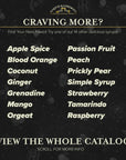 Liquid Alchemist Raspberry Syrup for Drinks  Real Ingredients Make our Raspberry Puree for Drinks the Perfect Raspberry Lemonade Drink Mix  Our Raspberry Cocktail Syrup is NonGMO  Vegan 12 oz