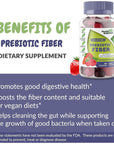 Fiber Prebiotic Gummies Sugar Free, Keto Friendly 2 Pack