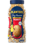 PLANTERS Salted Dry Roasted Peanuts Party Snacks Plant Based Protein 16oz 1 Jar