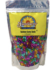 Chocolate Covered Sunflower Seeds  Multicolored Candy Coated Treats  Rainbow Sunny Seeds  Sweet and Crunchy Topping  1 LB Resealable Bag