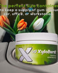 XyloBurst Gum  Xylitol Chewing Gum  Sugar Free Gluten Free Keto Friendly  Aspartame Free Gum For Oral Health  Green Tea  100Count Jar