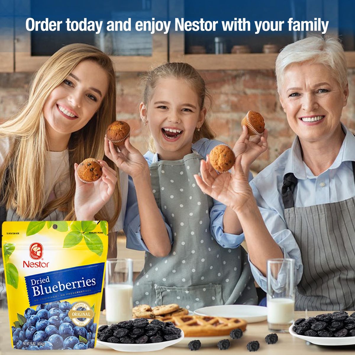 Nestor Premium Dried Big Blueberries 1 lb NonGMO No Preservatives Unsulfured Sweetened Dehydrated Blueberry Dried Fruits Snacks for Baking Oatmeal SaladsGrown in OR