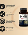 NatureBell HMB 3,000mg Per Serving | 240 Capsules, 3X Triple Strength HMB Beta-Hydroxy Beta-Methylbutyrate Supplement - Lean Muscle Mass & Recovery Support - Non-GMO