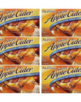 Alpine Spiced Cider Sugar Free Apple Flavored Drink Mix 14oz Box Pack of 6  with Make Your Day Stirrer