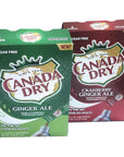 Canada Dry Ginger Ale singles to go - 1.12 Ounces