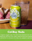 Dr Browns CelRay Soda  A New York Original Celery Soda  24 Cans of Refreshing Kosher Gourmet Soda Pop  Craft Celery Soda  24 x 12 oz Cans