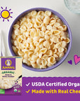 Annies Organic Shells  White Cheddar Macaroni and Cheese Family Size 105 oz Pack of 6