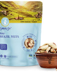 Aznut Brazil Nuts Superior to Natural and Raw Shelled No PPO Vegan and Keto Friendly Gluten Free Peanut free and Vegan Non Gmo Certified Premium Quality Super Food Fresh and Crunchy Kosher Certified Raw 1 LB