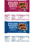 Natures Bakery Whole Foods Fruit Bars Variety Pack  Healthy Snacks for Kids and AdultsFlavors Raspberry and Blueberry 16 Twin Pack 2oz Vegan Organic Snap Eligible by FANTASTY MALL