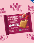 Natures Bakery Fig Bar Minis Raspberry Whole Grain Vegan Friendly Kosher NonGMO 10 Ounce Pack of 6